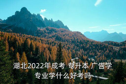 湖北2022年成考 專升本 廣告學(xué)專業(yè)學(xué)什么好考嗎