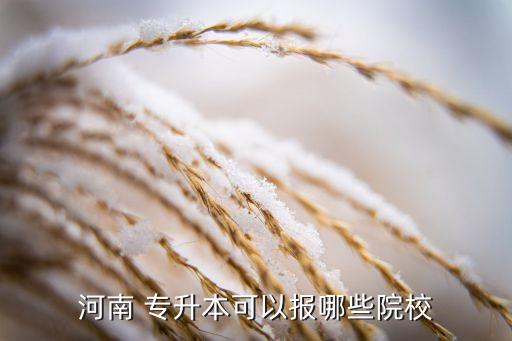 專升本 升中原工學(xué)院,中原工學(xué)院專升本2021錄取分數(shù)線