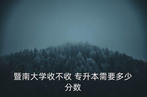 暨南大學(xué)成人專升本分?jǐn)?shù)錄取線