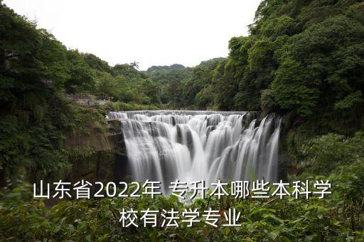 山東省2022年 專(zhuān)升本哪些本科學(xué)校有法學(xué)專(zhuān)業(yè)