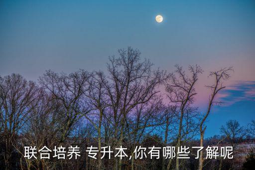  聯(lián)合培養(yǎng) 專升本,你有哪些了解呢