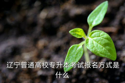 2017遼寧往屆生專升本,遼寧往屆生可以參加統(tǒng)招專升本嗎