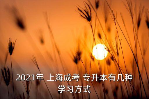 2021年 上海成考 專升本有幾種學習方式