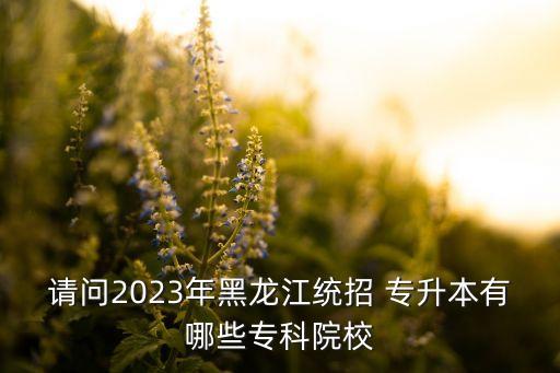 請問2023年黑龍江統(tǒng)招 專升本有哪些?？圃盒? class=