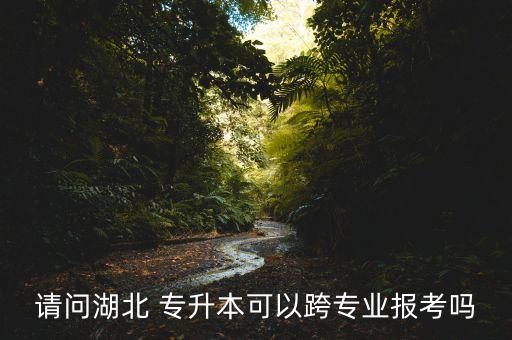 請問湖北 專升本可以跨專業(yè)報考嗎