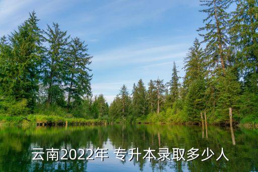 云南專升本錄取率,2023年云南專升本錄取率