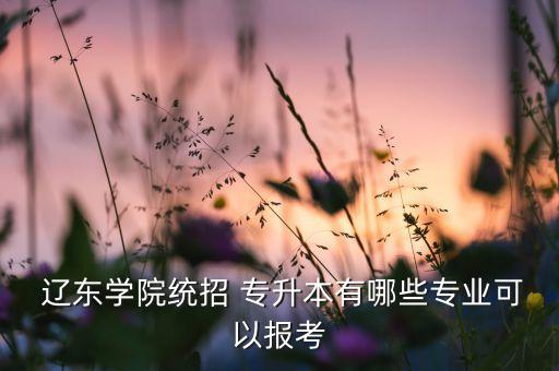  遼東學院統(tǒng)招 專升本有哪些專業(yè)可以報考