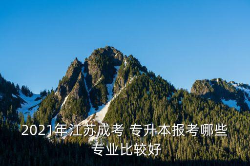 2021年江蘇成考 專升本報(bào)考哪些 專業(yè)比較好