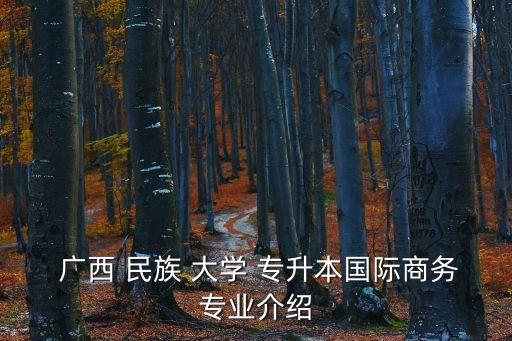 廣西民族大學(xué)專升本