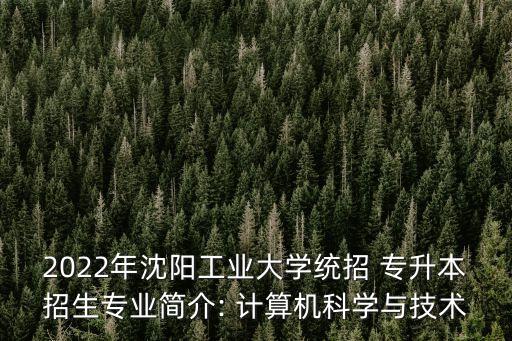 2022年沈陽工業(yè)大學(xué)統(tǒng)招 專升本招生專業(yè)簡介: 計算機(jī)科學(xué)與技術(shù)