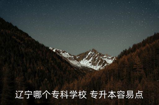 遼寧哪個(gè)專科學(xué)校 專升本容易點(diǎn)