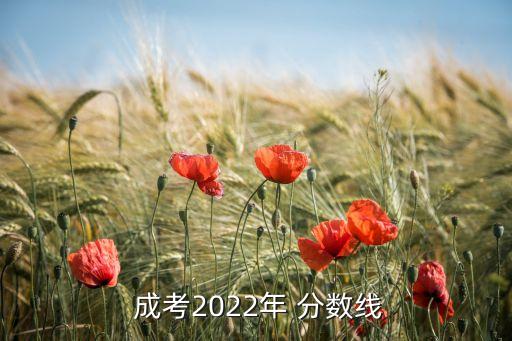  成考2022年 分數(shù)線