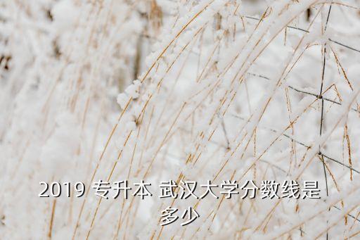 2019 專升本 武漢大學(xué)分?jǐn)?shù)線是多少