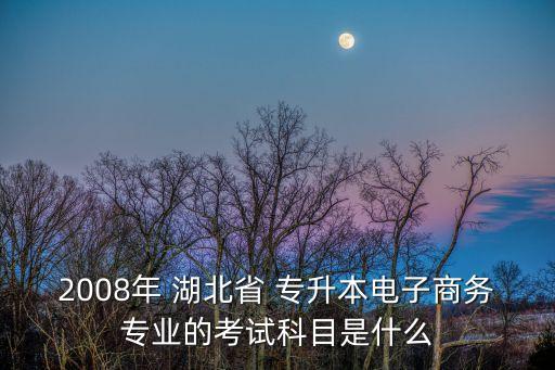 2008年 湖北省 專升本電子商務(wù)專業(yè)的考試科目是什么