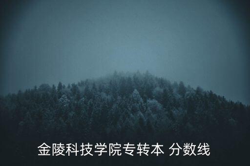 金陵科技學(xué)院專轉(zhuǎn)本 分?jǐn)?shù)線