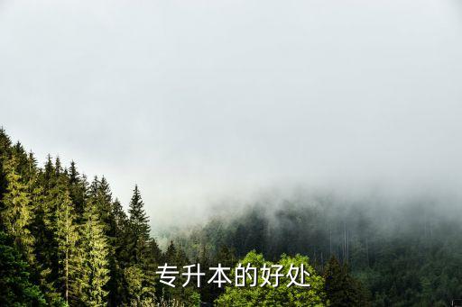 專升本的有利點(diǎn),山東省大賽對(duì)專升本有利嗎