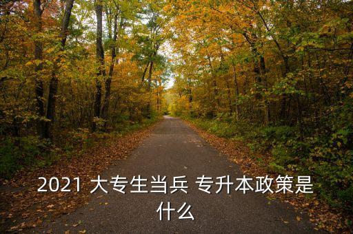 2021 大專生當(dāng)兵 專升本政策是什么