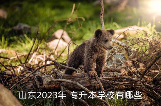 山東2023年 專升本學校有哪些