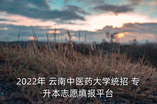 2022年 云南中醫(yī)藥大學(xué)統(tǒng)招 專升本志愿填報(bào)平臺(tái)