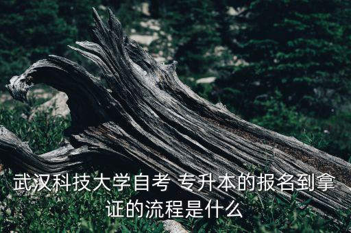 武漢科技大學(xué)自考 專升本的報名到拿證的流程是什么