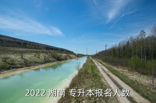 2022 湖南 專升本報(bào)名人數(shù)