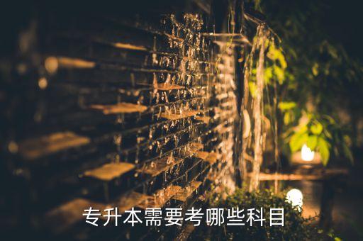 專升本考專業(yè)課是什么,學(xué)前教育專升本考的專業(yè)課是什么