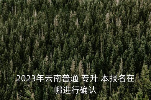 2023年云南普通 專升 本報(bào)名在哪進(jìn)行確認(rèn)