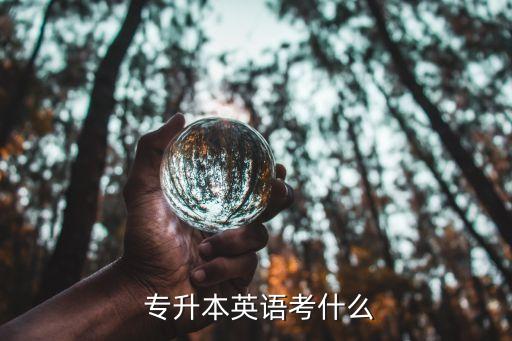  專升本英語(yǔ)考什么