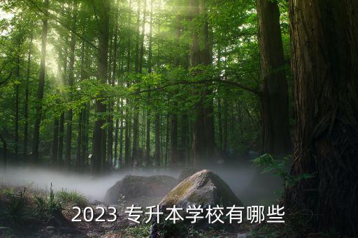 2023 專升本學(xué)校有哪些