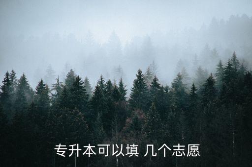  專升本可以填 幾個(gè)志愿