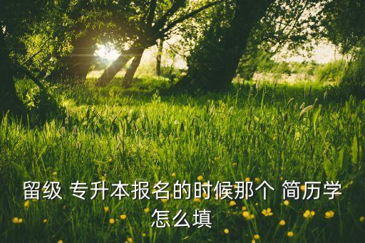 留級 專升本報(bào)名的時(shí)候那個 簡歷學(xué)怎么填