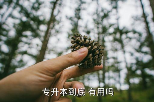 專升本的學(xué)歷有用嗎,成人教育專升本學(xué)歷有用嗎