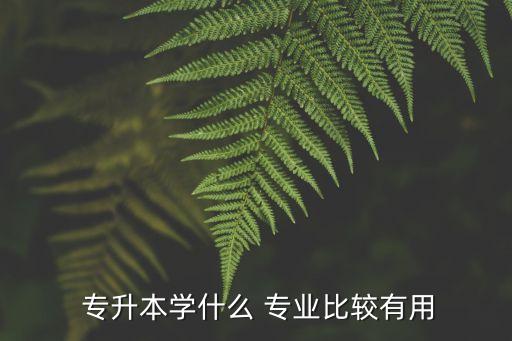 專升本那些專業(yè)好,?？颇切I(yè)不能專升本