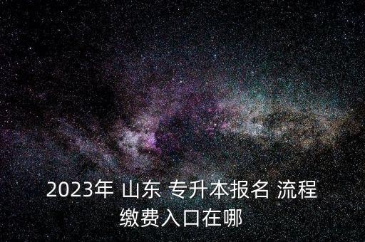 2023年 山東 專(zhuān)升本報(bào)名 流程繳費(fèi)入口在哪