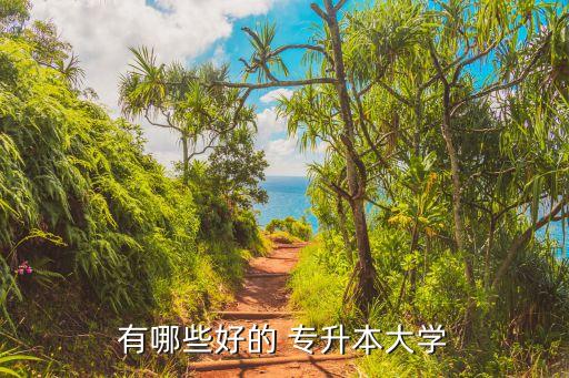 有哪些好的 專升本大學(xué)