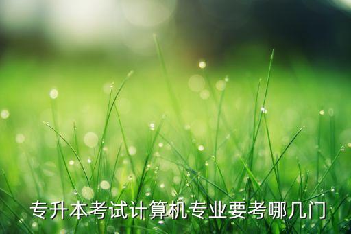 計(jì)科專升本的資料,福建專升本計(jì)科類考什么