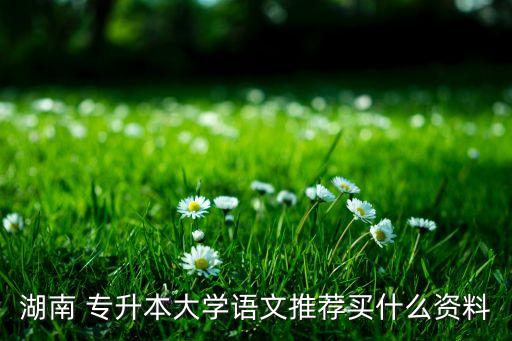 湖南 專升本大學(xué)語文推薦買什么資料