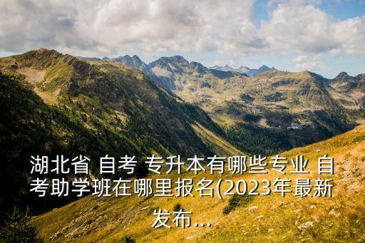 湖北省 自考 專升本有哪些專業(yè) 自考助學班在哪里報名(2023年最新發(fā)布...