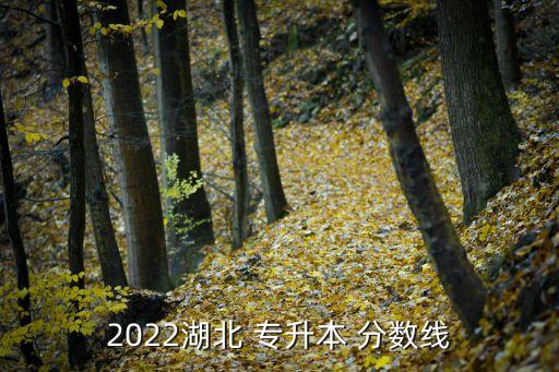 2022湖北 專升本 分數(shù)線