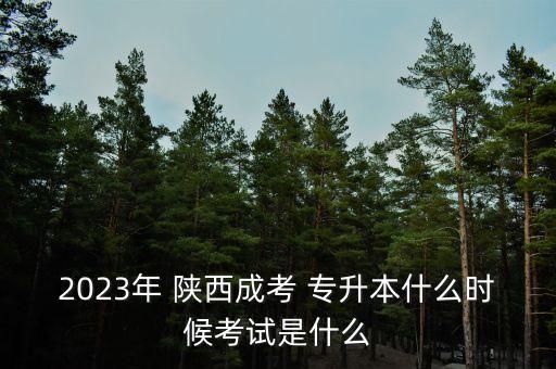 2023年 陜西成考 專升本什么時候考試是什么