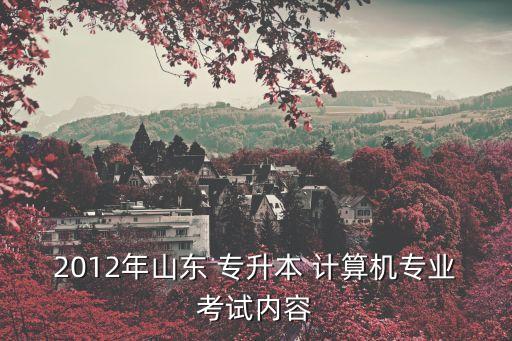 山東省專升本計(jì)算機(jī)試題,2022年山東專升本計(jì)算機(jī)試題