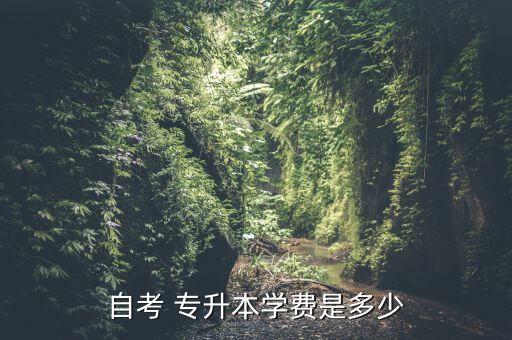 專升本大概需要花費多少錢,出國專升本國需要花費多少