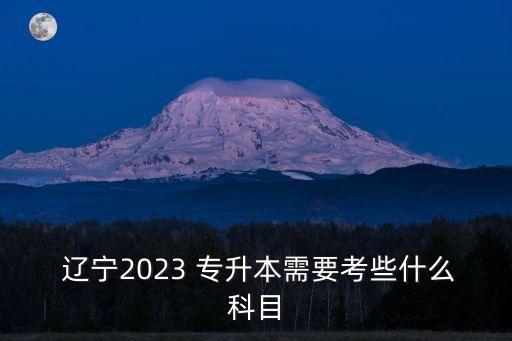 遼寧專升本計算機考試考的題型,2020年遼寧專升本計算機考試真題及答案