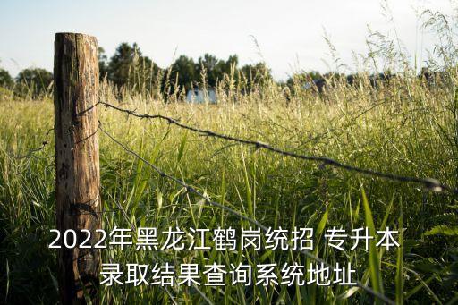 2022年黑龍江鶴崗統(tǒng)招 專升本 錄取結(jié)果查詢系統(tǒng)地址