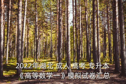 2022年湖北 成人 高考 專升本《高等數(shù)學一》模擬試卷匯總