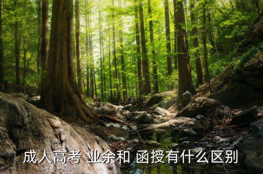 成人高考 業(yè)余和 函授有什么區(qū)別