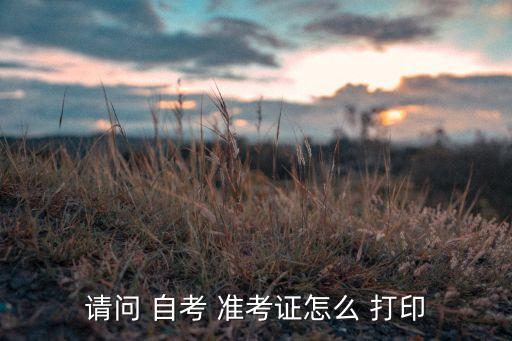 請(qǐng)問(wèn) 自考 準(zhǔn)考證怎么 打印