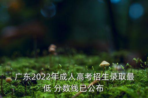  廣東2022年成人高考招生錄取最低 分?jǐn)?shù)線已公布