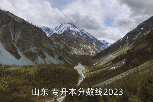  山東 專升本分?jǐn)?shù)線2023