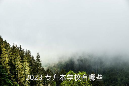 2023 專升本學(xué)校有哪些